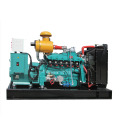 10kW 20kW 30kW 50kW 100kW 150kW 200kW Silent Biogas Generator alimentado com motor Weifang Ricardo